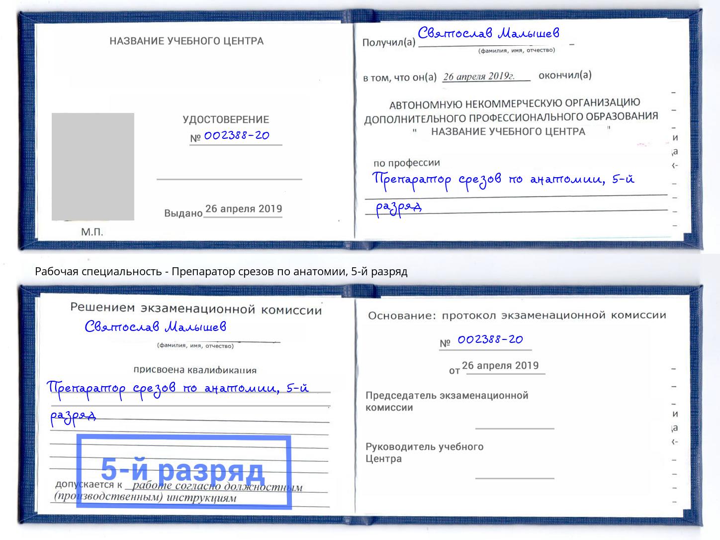 корочка 5-й разряд Препаратор срезов по анатомии Благовещенск