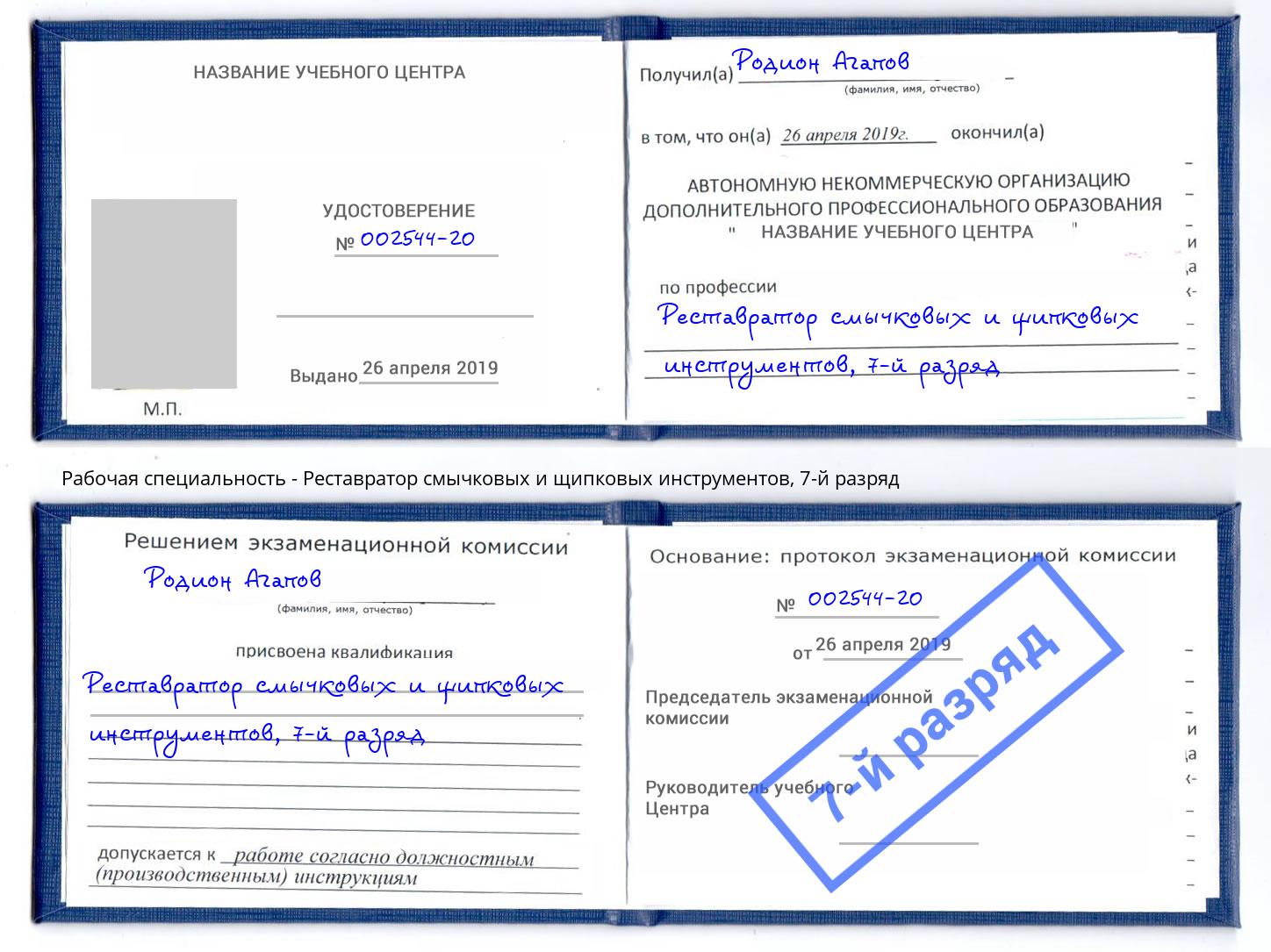 корочка 7-й разряд Реставратор смычковых и щипковых инструментов Благовещенск