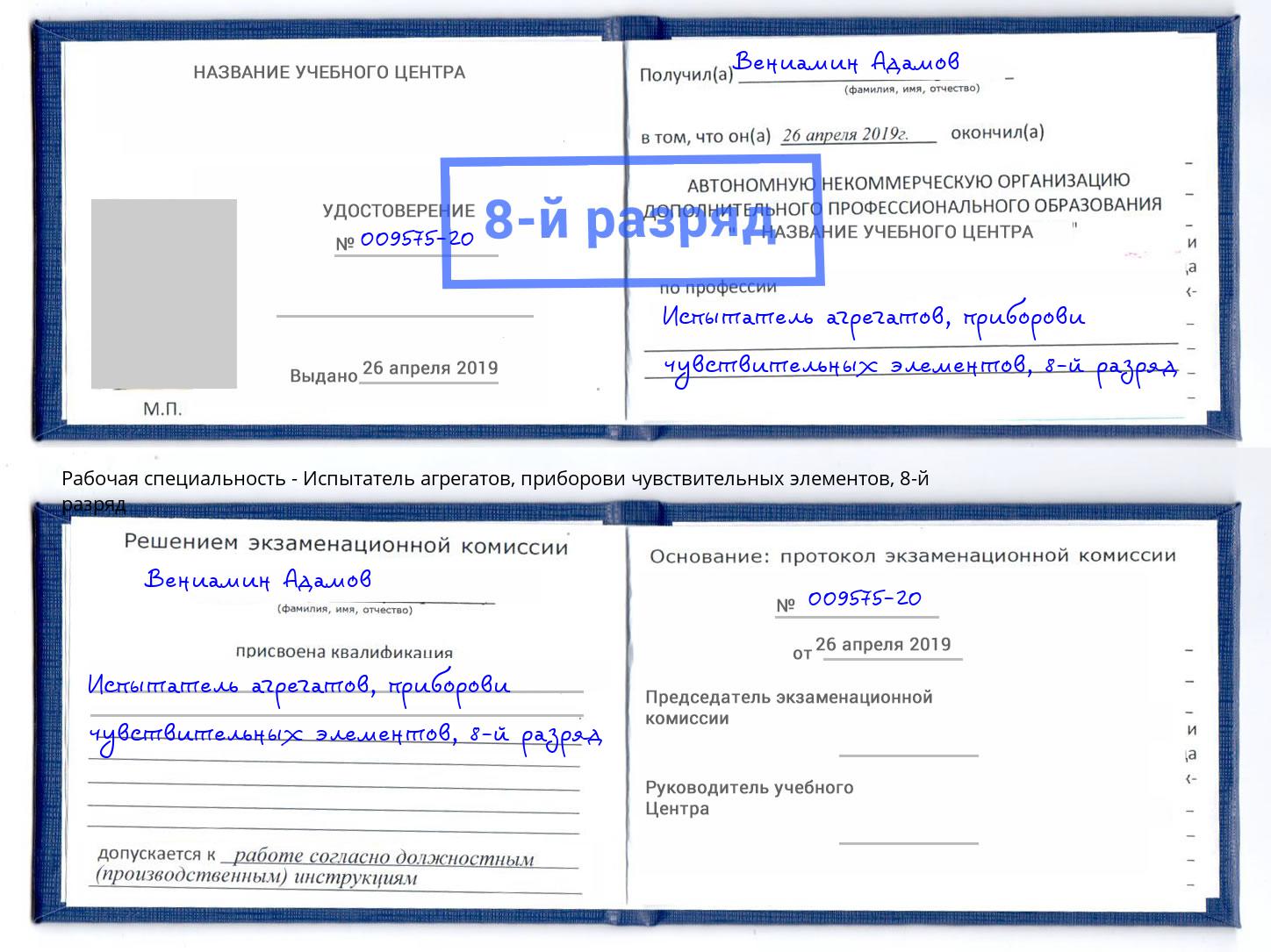 корочка 8-й разряд Испытатель агрегатов, приборови чувствительных элементов Благовещенск